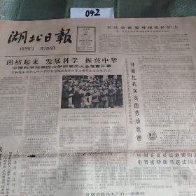 湖北日报1981年5月12