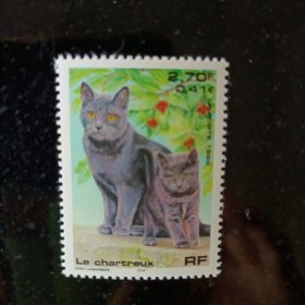 外国邮票法国邮票1999 nature France Le Chartreux