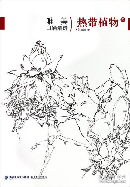 热带植物(4)/唯美白描精选 绘画:刘秋阳 9787539337920 福建美术