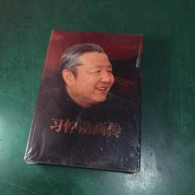 习仲勋画传