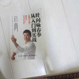 叶问咏春拳从入门到实战(视频学习版)