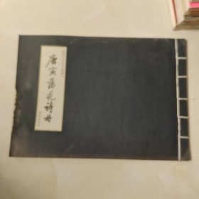 唐寅文化系列書一唐寅落花诗册