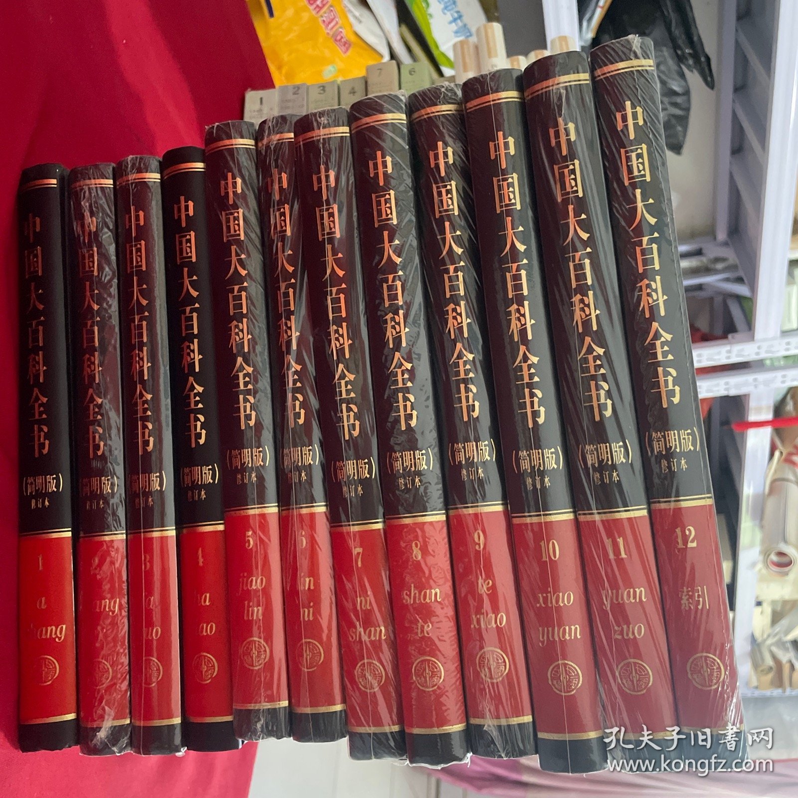 中国大百科全书（简明版）（修订本）（12册）