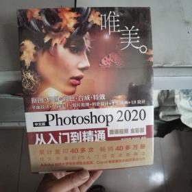 中文版Photoshop2020从入门到精通（微课视频全彩版）