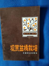 《观赏盆橘栽培》