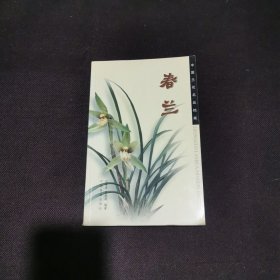 中国兰花名品档案：春兰