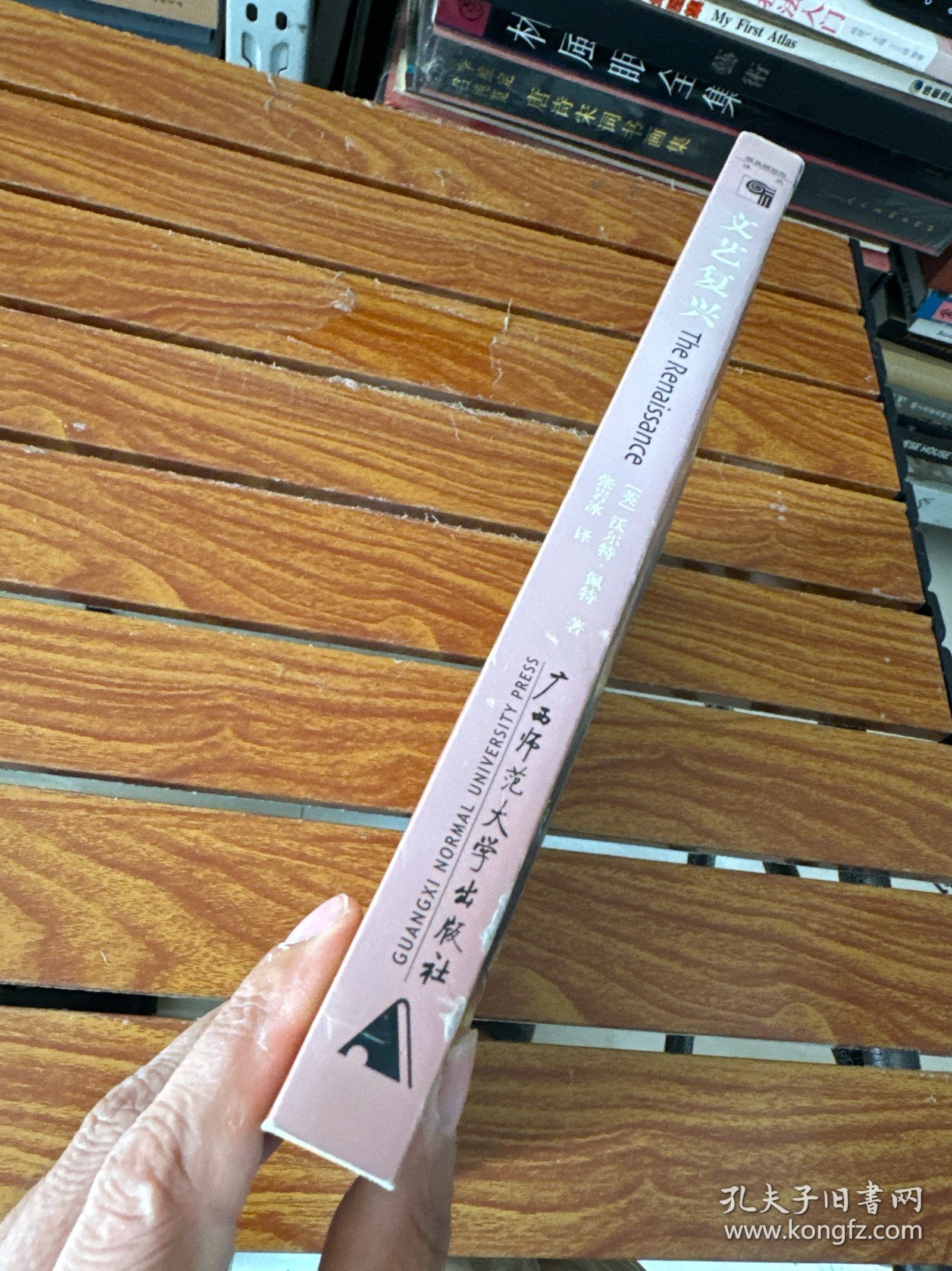 文艺复兴：艺术与诗的研究