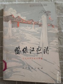 书(纪实):鸭绿江怒涛