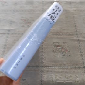 雪山大地（精）（新时代山乡巨变创作计划）（第11届茅盾文学奖，《藏獒》作者杨志军重磅现实主义长篇新作。浓郁的民族生活气息，草原牧民的大爱大善）