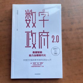 数字政府2.0：数据智能助力治理现代化