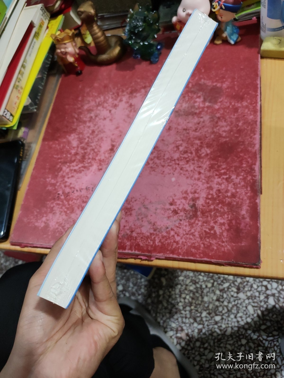 长江经济带区域协调与高质量发展研究