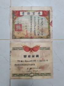 毕业证书海城县牛庄镇新生小学和兴盛小学一个人的1954-1956两份具体看简介