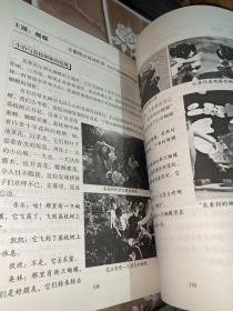 探索心智的教育.3.教师篇