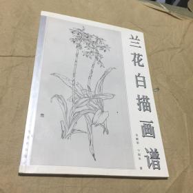 兰花白描画谱