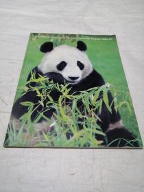 new York zoological society annual report 1986-87