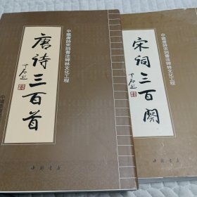 中国唐诗宋词书法碑林文化工程 : 唐诗三百首　宋 词三百阕