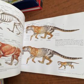 Understanding Animal Anatomy 角色设计原理 从现实到真实与想象 英文原版