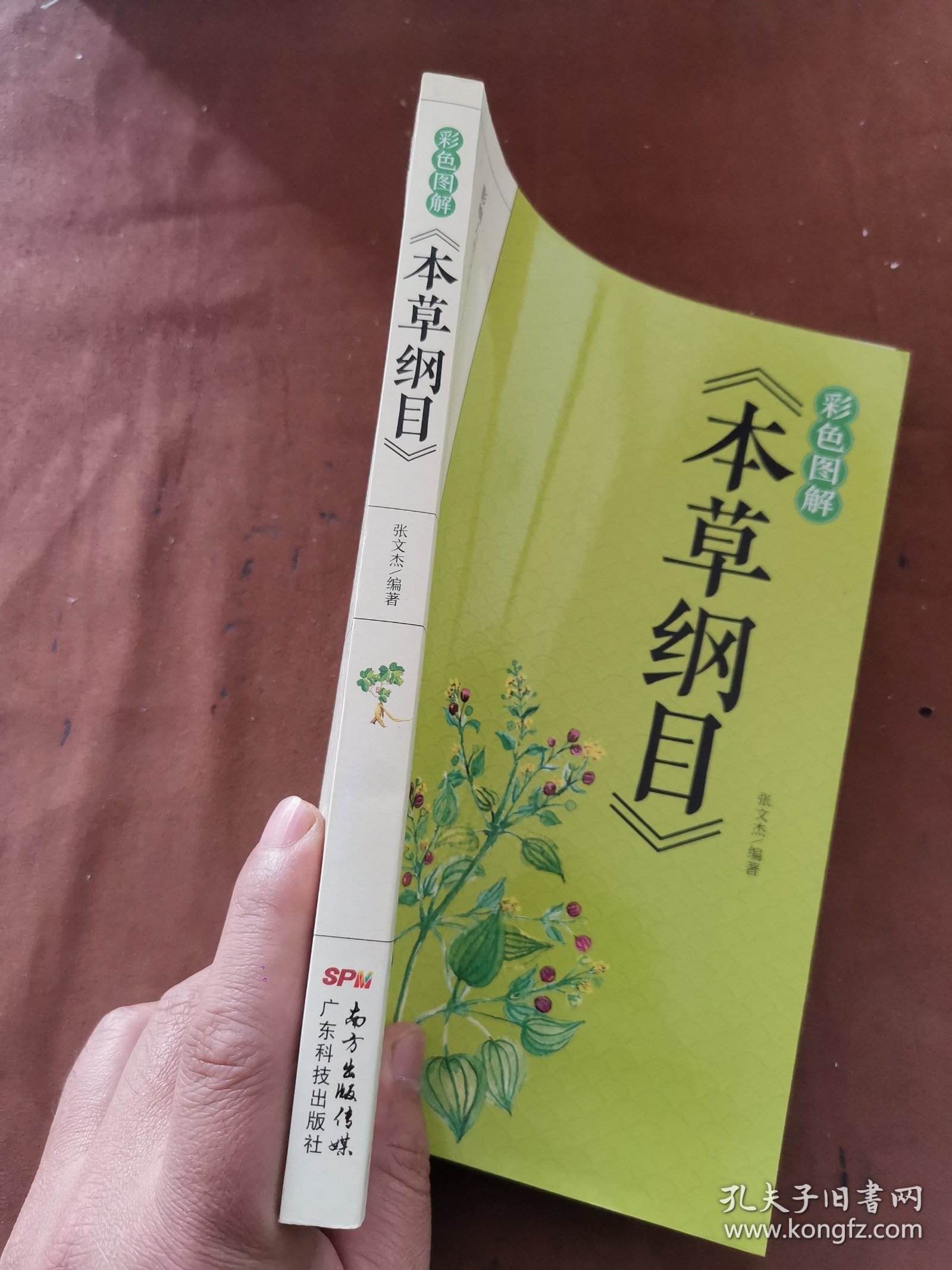 彩色图解《本草纲目》～A11-05