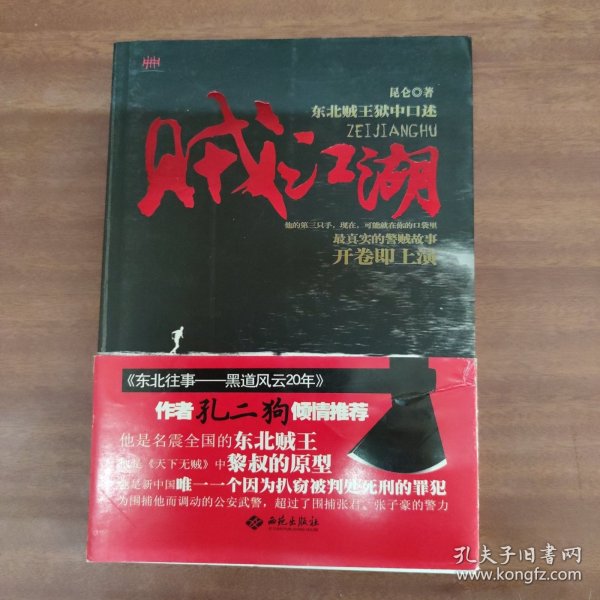 贼江湖（《天下无贼》中黎叔的原型，东北贼王狱中口述全景再现真实的黑道江湖）