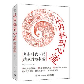 正版现货 从内耗到心流：复杂时代下的熵减行动指南 电子工业出版社 9787121445163