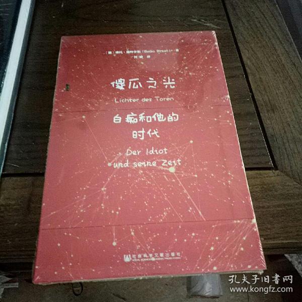 甲骨文丛书·傻瓜之光：白痴和他的时代