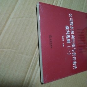 公司股东权利行使与责任案件裁判规则（一）【塑料皮儿破损】