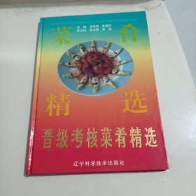 晋级考核菜肴精选