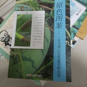 原色图鉴：一本书明白瓜类蔬菜病虫害/新型职业农民书架