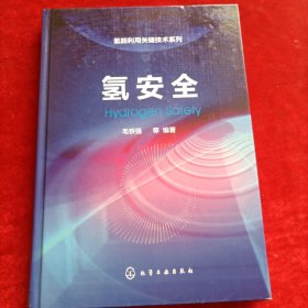 氢能利用关键技术系列--氢安全