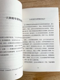 【正版二手】冰河上的激战