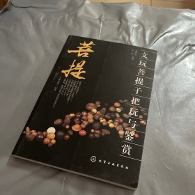 文玩菩提子把玩与鉴赏