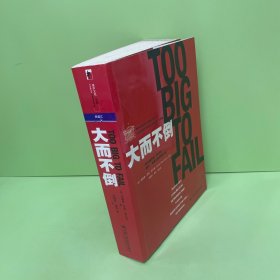 大而不倒：2010年全球政要和首席执行官争相阅读的金融危机启示录