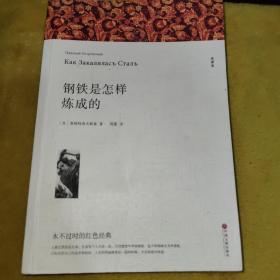 钢铁是怎样炼成的八年级下册初中生原著全译本完整版青少年中学生课外阅读小说文学世界名著