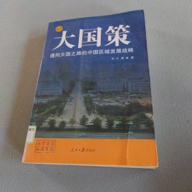 通向大国之路的中国区域发展战略