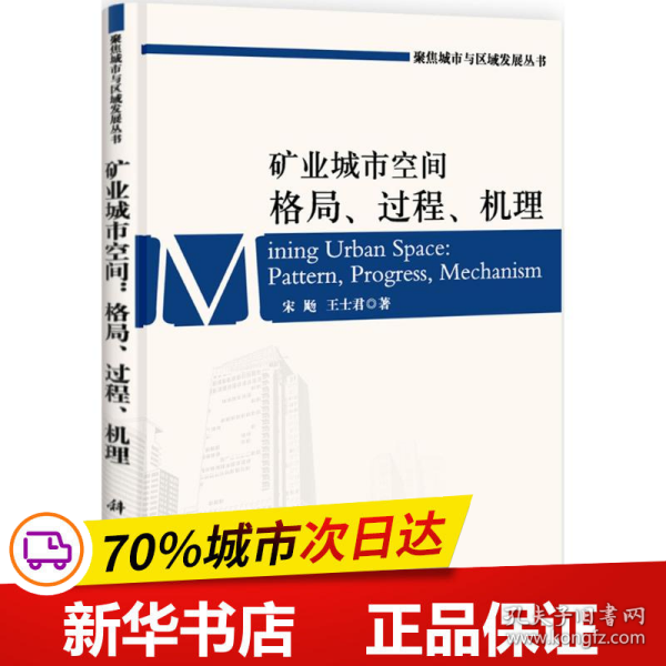 矿业城市空间：格局、过程、机理