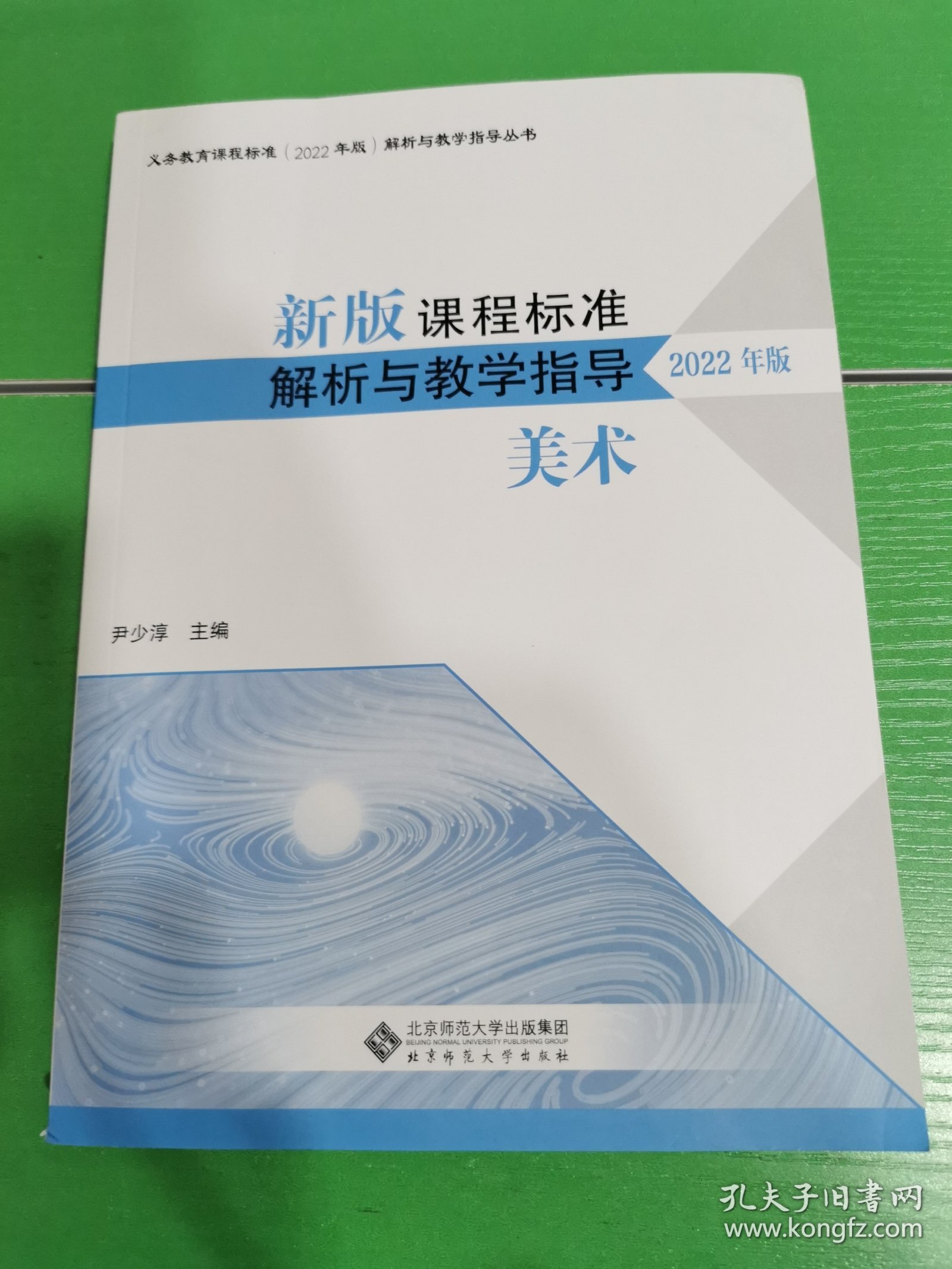 新版课程标准解析与教学指导 美术