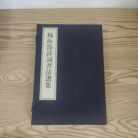 杨汝岱诗词书法选集（小8开宣纸线装本带函套）