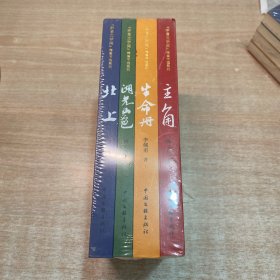 《茅盾文学奖》精篇节选系列：北上、湖光山色、主角、生命册（全4册）