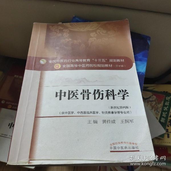 中医骨伤科学/全国中医药行业高等教育“十三五”规划教材