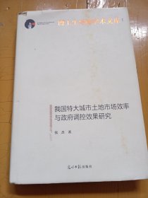 我国特大城市土地市场效率与政府调控效果研究