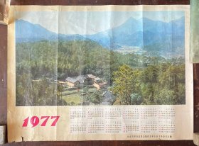 1977年年历（山东省革委会知青上山下乡办公室）