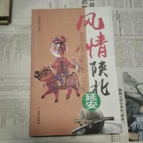 风情陕北延安