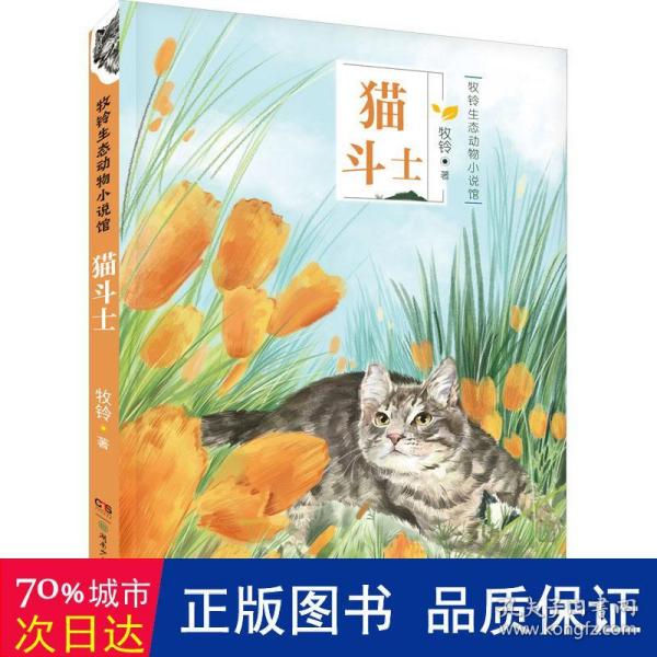 猫斗士