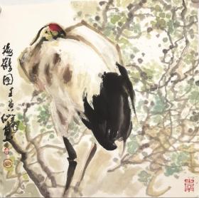 毛翔先花鸟画一批，薄软卡50X50厘米，单幅价，保真包退。 毛翔先，1941年出生于义乌。中国美术学院出版社总编辑、中国《艺术教育》杂志常务副总编辑。现为中国美术家协会会员、中国老艺术家书画院常务副院长。