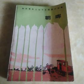 朝晖——知识青年上山下乡短篇小说集