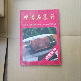 中国菜谱.湖南风味