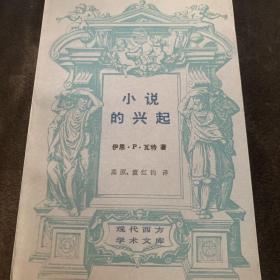 小说的兴起：笛福、理查逊、菲尔丁研究