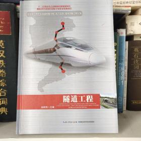 中国第一条长大高速铁路干线武广高铁技术创新工程丛书 隧道工程  正版  无笔迹