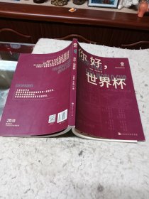 你好，世界杯