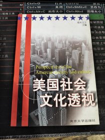 美国社会文化透视